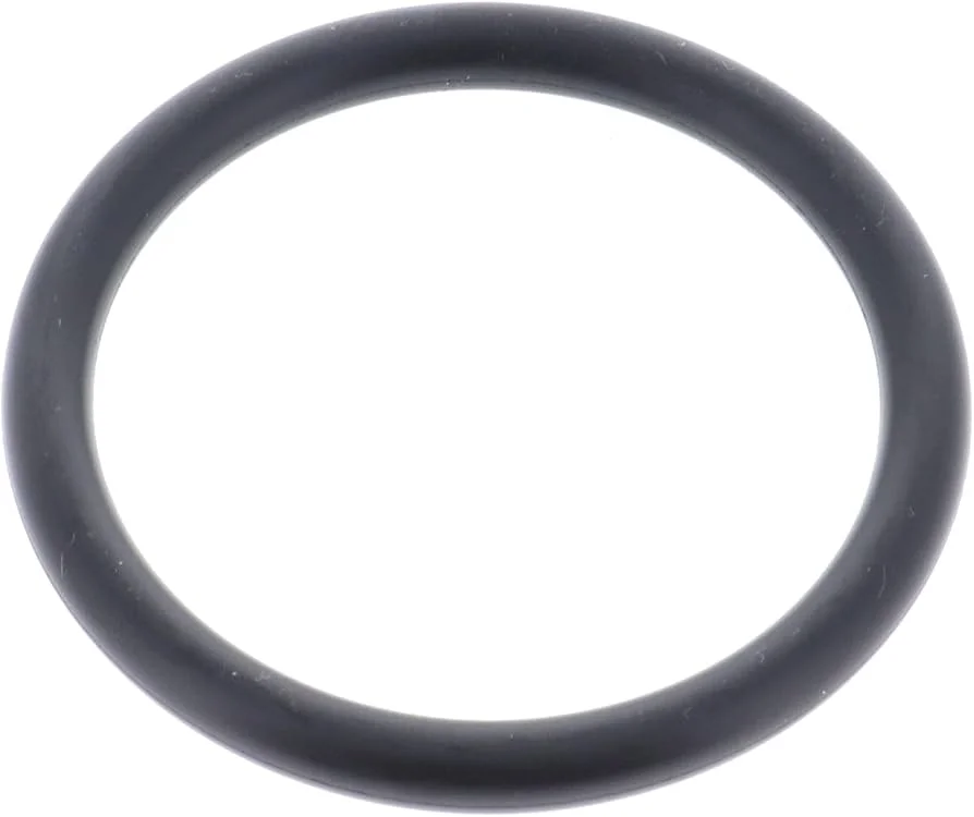 ANILLO DE RETEN P/MOTOBOMBA (TAPON) (78118YG8003)