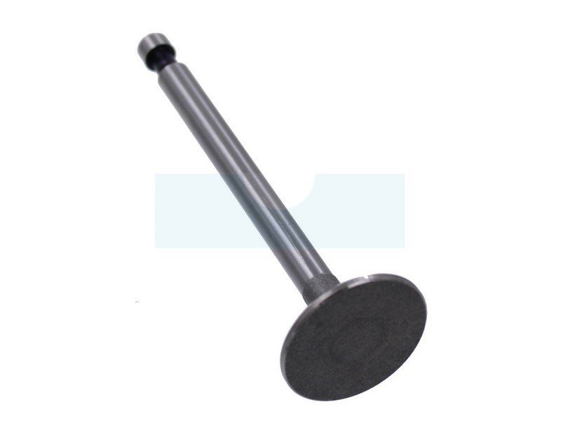 VALVULA DE ADMISION  MOTOR G200 (14711883000)