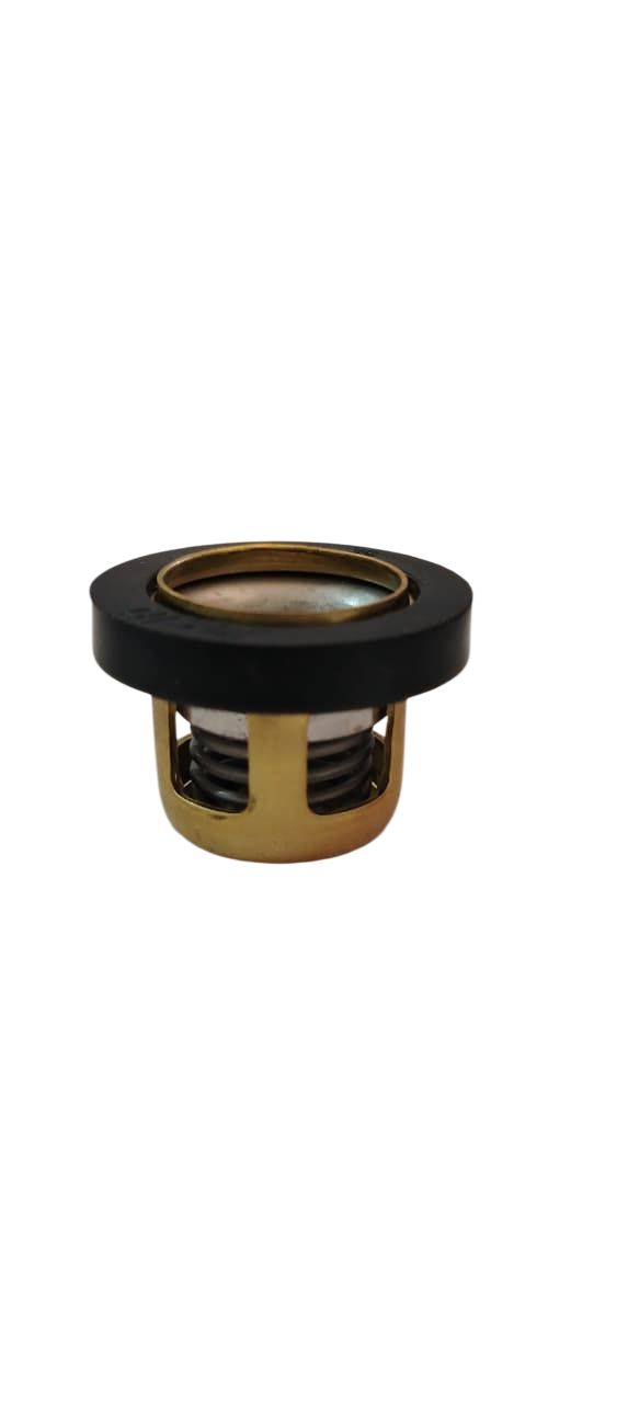 VALVULA DE LA BOMBA JP-75-100 (407825)    